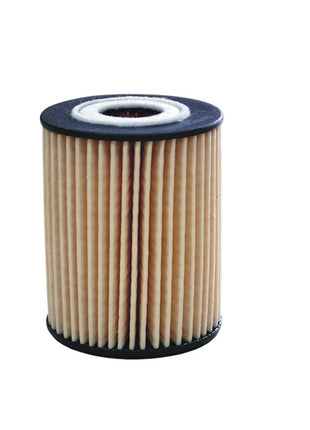 FİLTRON YAĞ FİLTRESİ OE648/7