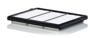MANN HAVA FİLTRESİ C25051