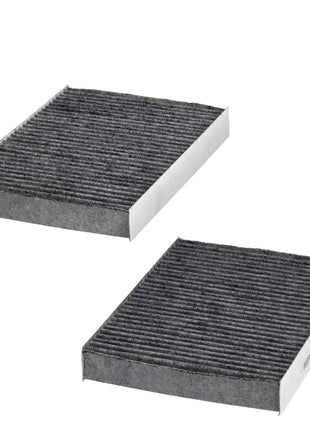 HENGST KARBONLU POLEN FİLTRESİ E4938LC-2