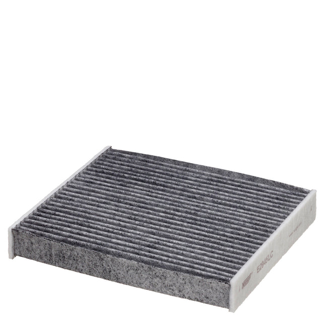 HENGST KARBONLU POLEN FİLTRESİ E2945LC