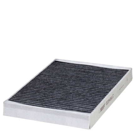 HENGST KARBONLU POLEN FİLTRESİ E2949LC