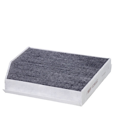 HENGST KARBONLU POLEN FİLTRESİ E2993LC