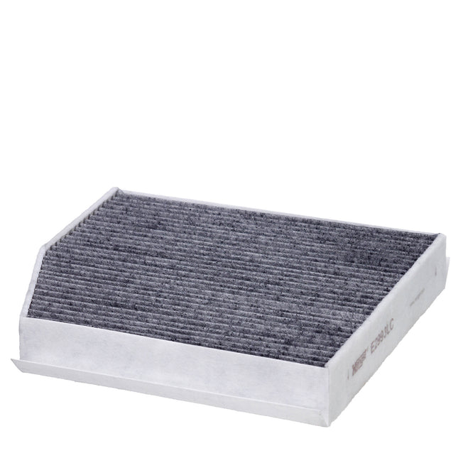 HENGST KARBONLU POLEN FİLTRESİ E2993LC