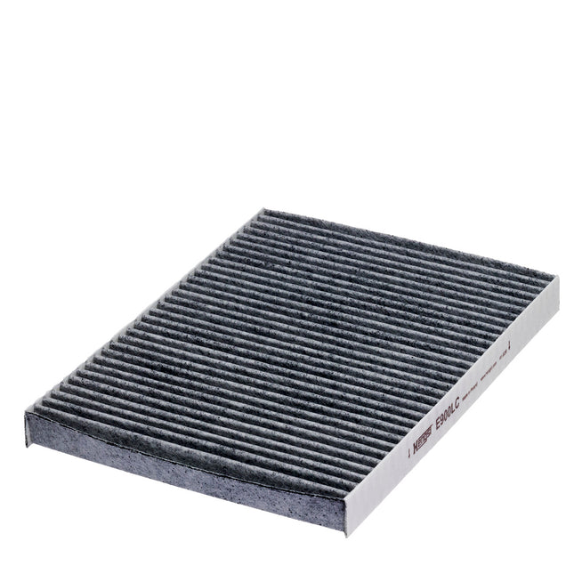 HENGST KARBONLU POLEN FİLTRESİ E900LC