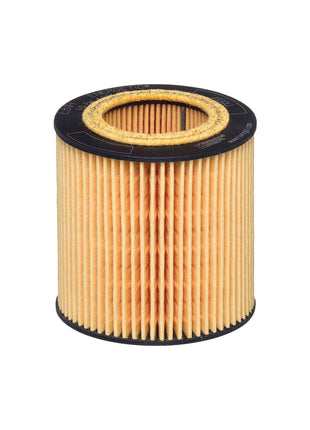 HENGST YAĞ FİLTRESİ E61H D258
