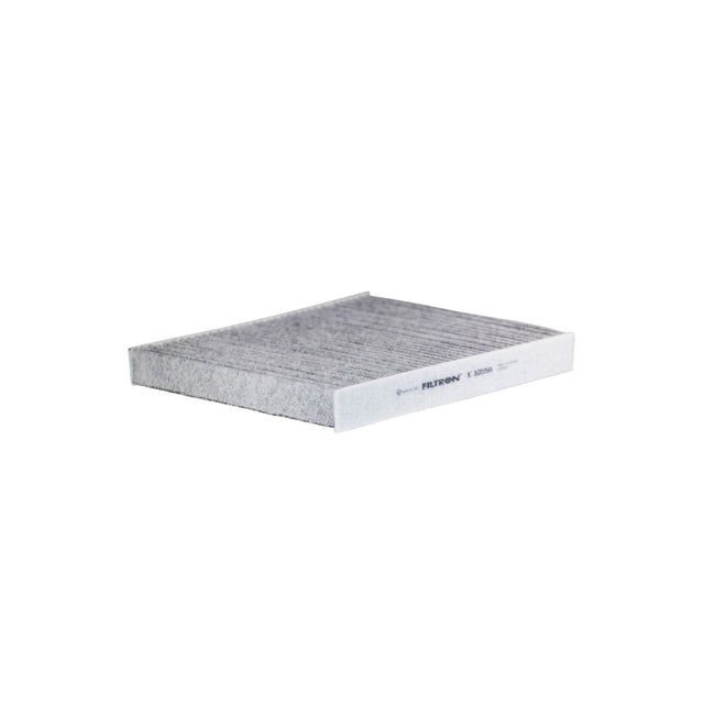 FİLTRON POLEN FİLTRESİ K1055A