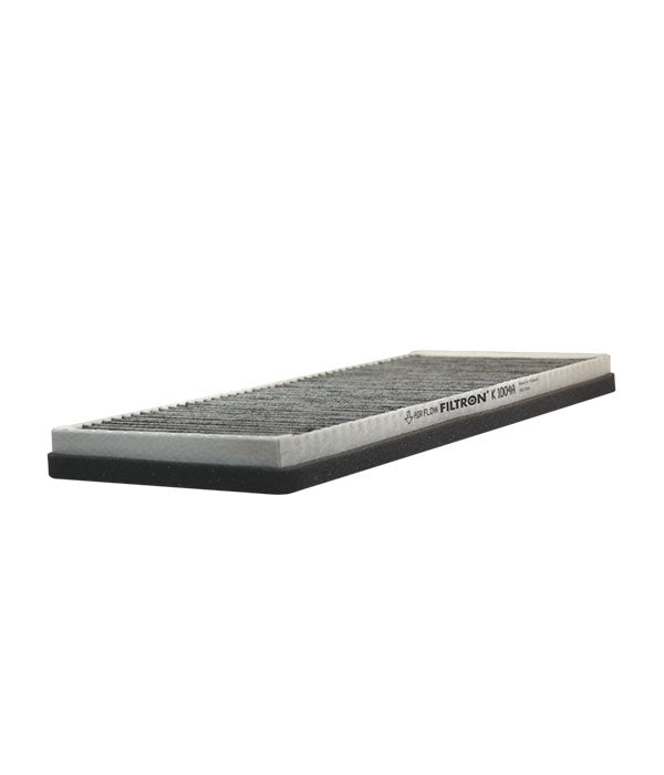 FİLTRON POLEN FİLTRESİ K1004A