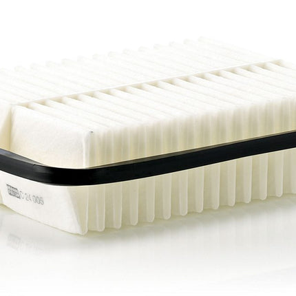 MANN HAVA FİLTRESİ C24005