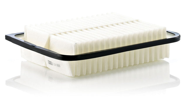 MANN HAVA FİLTRESİ C24005