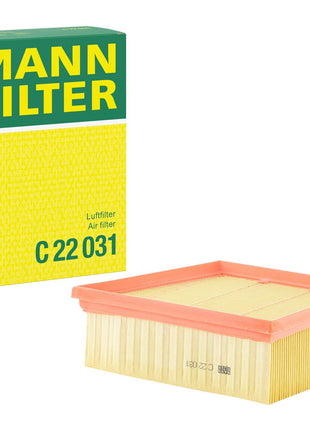 MANN HAVA FİLTRESİ C22031