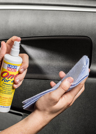 LIQUI MOLY ONE FOR ALL BAKIM ÜRÜNÜ 250ML