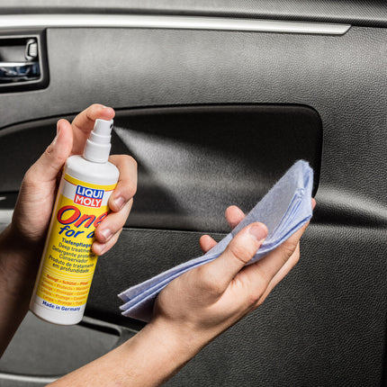 LIQUI MOLY ONE FOR ALL BAKIM ÜRÜNÜ 250ML