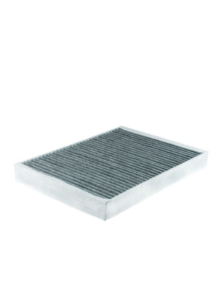 FİLTRON POLEN FİLTRESİ K1247A
