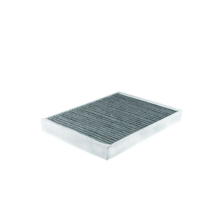 FİLTRON POLEN FİLTRESİ K1247A