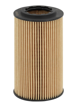 FİLTRON YAĞ FİLTRESİ OE640/5