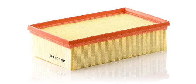 MANN HAVA FİLTRESİ C30005