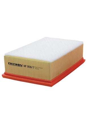 FİLTRON HAVA FİLTRESİ AP058/7