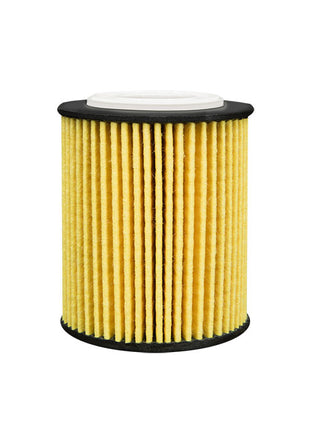 FİLTRON YAĞ FİLTRESİ OE667/6