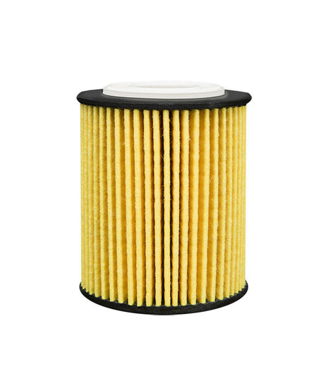 FİLTRON YAĞ FİLTRESİ OE667/6