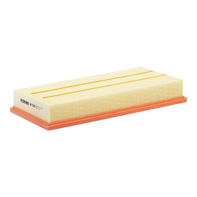 FİLTRON HAVA FİLTRESİ AP004/3