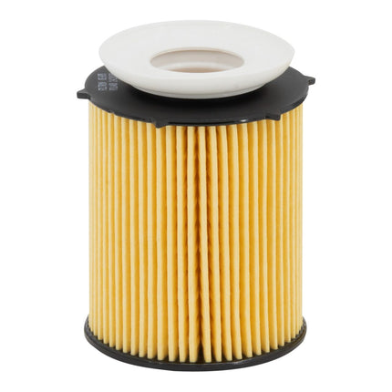 FİLTRON YAĞ FİLTRESİ OE695