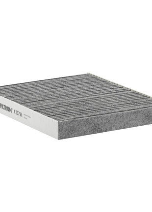 FİLTRON POLEN FİLTRESİ K1079A