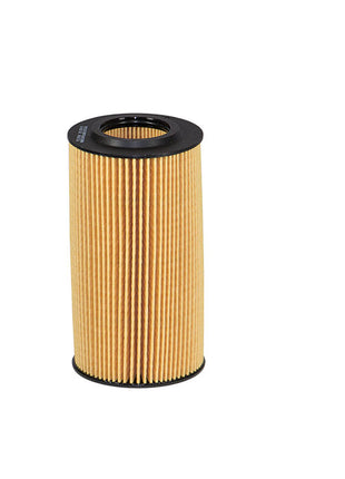 FİLTRON YAĞ FİLTRESİ OE650/8
