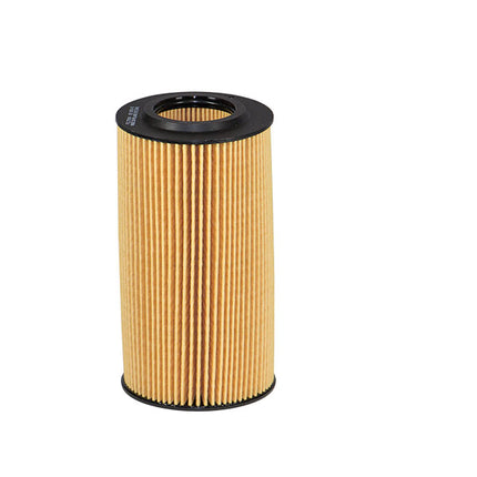 FİLTRON YAĞ FİLTRESİ OE650/8