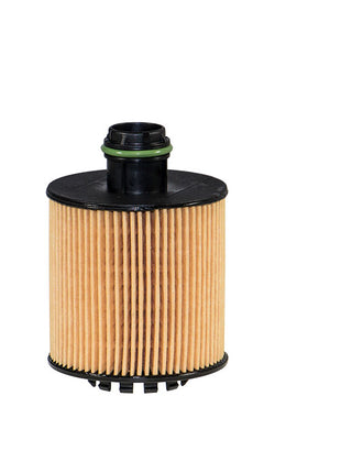 FİLTRON YAĞ FİLTRESİ OE682/6