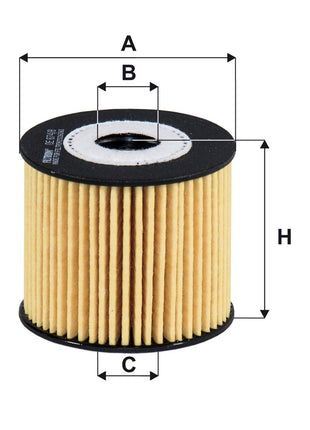FİLTRON YAĞ FİLTRESİ OE674/8