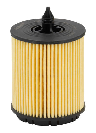 FİLTRON YAĞ FİLTRESİ OE648/3