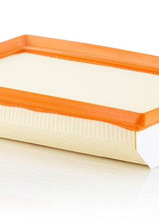 MANN HAVA FİLTRESİ C25033