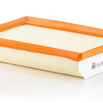 MANN HAVA FİLTRESİ C25033