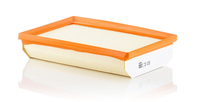 MANN HAVA FİLTRESİ C25033