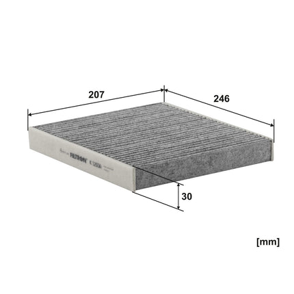 FİLTRON POLEN FİLTRESİ K1260A-2x