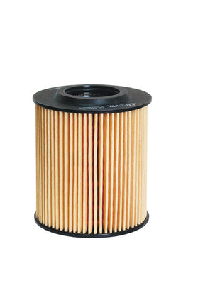 FİLTRON YAĞ FİLTRESİ OE688/1