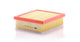 MANN HAVA FİLTRESİ C21002