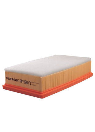 FİLTRON HAVA FİLTRESİ AP090/3