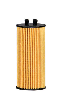 FİLTRON YAĞ FİLTRESİ OE672/6