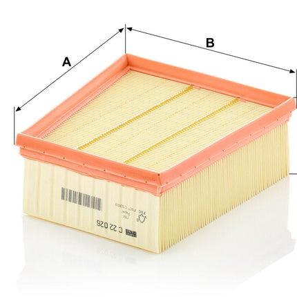 MANN HAVA FİLTRESİ C22026